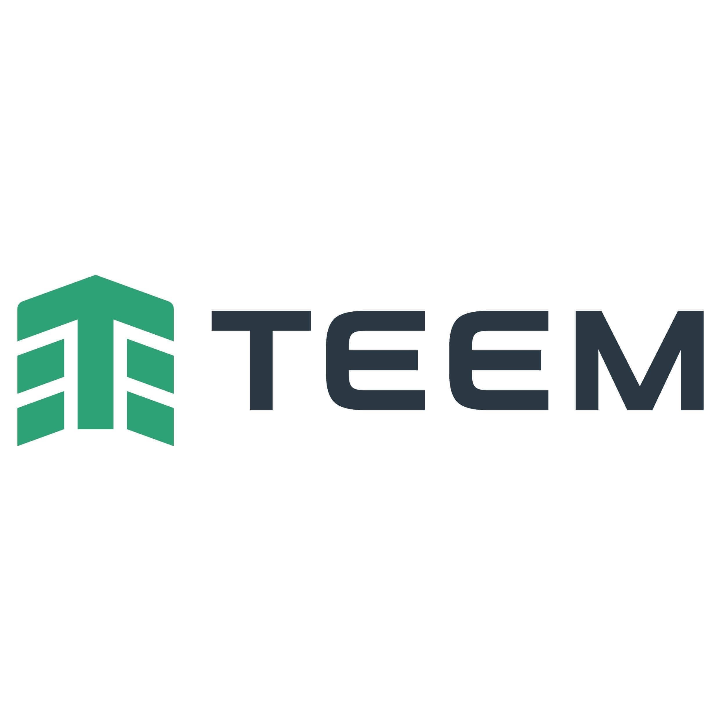 Teem logo